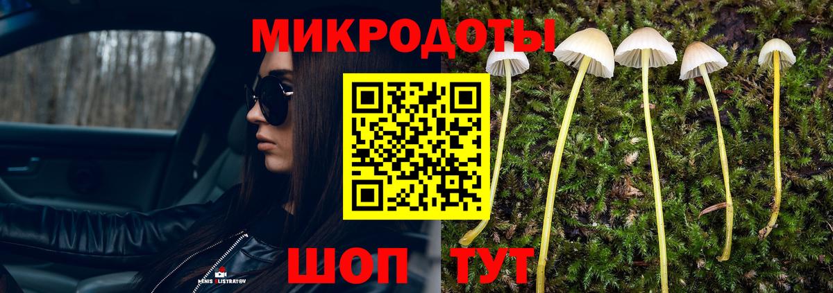 Псилоцибиновые грибы Cubensis Мурино